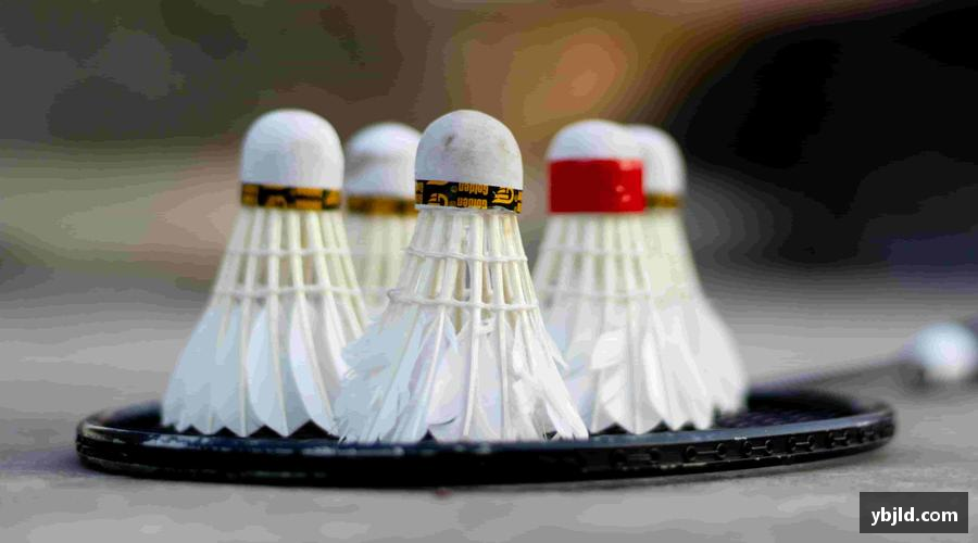 beats365亚洲版官网海量周边，点燃你的热爱！🎁⚽️